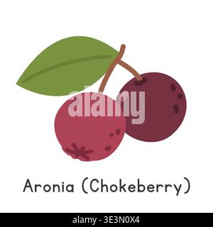 Chokeberry flat vector illustration. Black chokeberry or Aronia cartoon clipart style isolated on white background. Berry concept Stock Vector