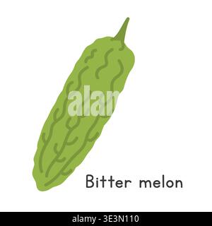 Bitter melon flat vector illustration. Green bitter melon cartoon clipart style. Also known as bitter gourd, balsam pear, karela, goya, ampalaya Stock Vector