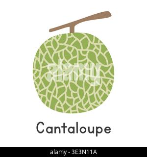 Cantaloupe flat vector illustration. Cantaloupe or muskmelon cartoon clipart style isolated on white background. Also known as rockmelon, spanspek Stock Vector