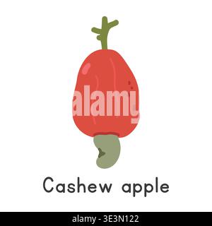 Cashew flat vector illustration. Red cashew apple cartoon clipart style. Also known as Anacardium occidentale, cashew fruit, pomme-cajou, pomme Stock Vector