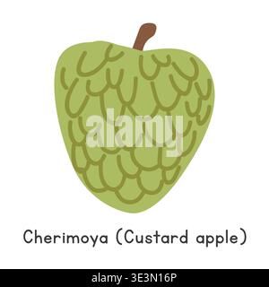 Cherimoya flat vector illustration. Green Cherimoya or Custard apple cartoon clipart. Also known as chirimoya, chirimoyo, chirimol fruit, chérimolier Stock Vector