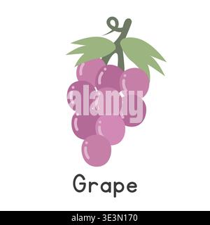 Grape flat vector illustration. Bunch of purple grapes cartoon clipart style isolated on white background. Common fruit concept Stock Vector