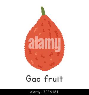 Gac flat vector illustration. Red Gac fruit cartoon clipart style isolated on white background. Also known as Spiny Bitter Gourd, Cochinchin Gourd Stock Vector