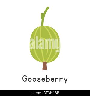 Gooseberry flat vector illustration. Green gooseberry or Ribes uva-crispa cartoon clipart style isolated on white background. Berry concept Stock Vector