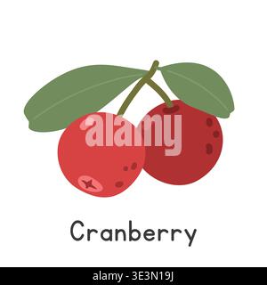 Cranberry flat vector illustration. Red cranberry cartoon clipart style isolated on white background Stock Vector