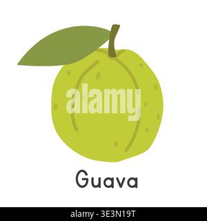 Guava flat vector illustration. Green common guava cartoon clipart style isolated on white background. Also known as Psidium guajava or apple guava Stock Vector
