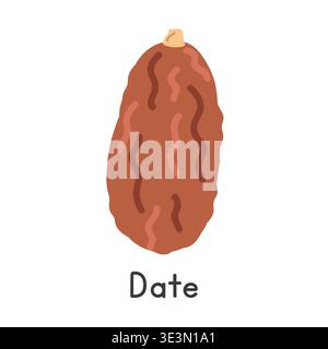 Date fruit flat vector illustration. Date or date palm fruit cartoon clipart style isolated on white background. Common fruit and Stone fruit concept Stock Vector