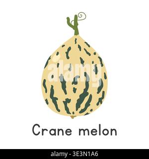Crane melon flat vector illustration. Crane melon cartoon clipart style isolated on white background. Melon and Gourd concept Stock Vector
