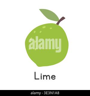 Lime fruit flat vector illustration. Green lime cartoon clipart style isolated on white background. Common fruit and Citrus fruit concept Stock Vector