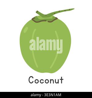 Coconut flat vector illustration. Green coconut cartoon clipart style isolated on white background. Common fruit and Stone fruit concept Stock Vector