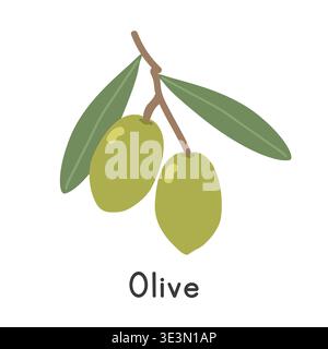 Olive flat vector illustration. Common olive cartoon clipart style isolated on white background. Stone fruit concept Stock Vector
