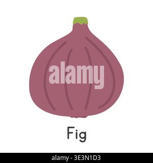 Fig flat vector illustration. Purple common fig cartoon clipart style isolated on white background. Common fruit and Fig concept Stock Vector