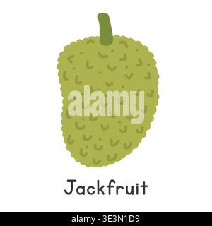 Jackfruit flat vector illustration. Jackfruit cartoon clipart style isolated on white background. Also known as jack, jak, nangka, kathal, jaca Stock Vector