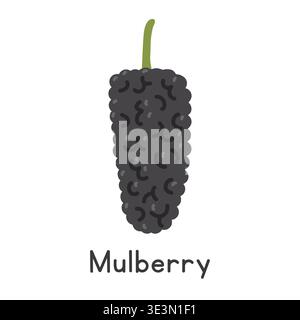 Mulberry flat vector illustration. Black ripe mulberry or Morus cartoon clipart style isolated on white background. Berry concept Stock Vector