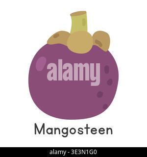 Mangosteen flat vector illustration. Purple mangosteen cartoon clipart style isolated on white background. Tropical and Exotic fruit concept Stock Vector