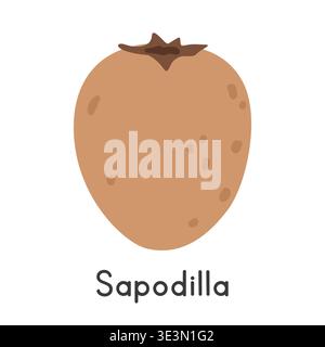 Sapodilla flat vector illustration. Sapodilla or Sapote cartoon clipart style isolated on white background. Tropical and Exotic fruit concept Stock Vector