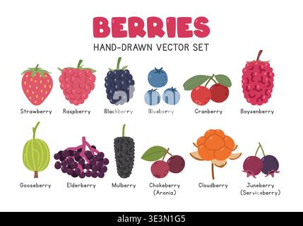 Berries flat vector illustration set in cartoon clipart style. Strawberry, raspberry, blackberry, blueberry, cranberry, boysenberry, gooseberry Stock Vector
