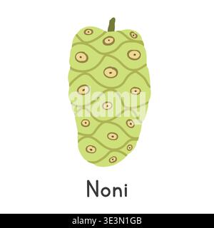 Noni flat vector illustration. Noni cartoon clipart style isolated on white background. Tropical and Exotic fruit concept Stock Vector