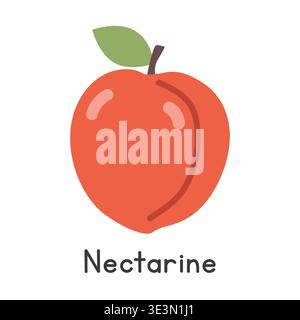 Nectarine flat vector illustration. Shaved peach or Nectarine cartoon clipart style isolated on white background. Drupe or Stone fruit concept Stock Vector