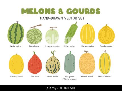 Melons and Gourds flat vector illustration set in cartoon clipart style. Watermelon, cantaloupe, honeydew melon, bitter melon, casaba melon, gac fruit Stock Vector