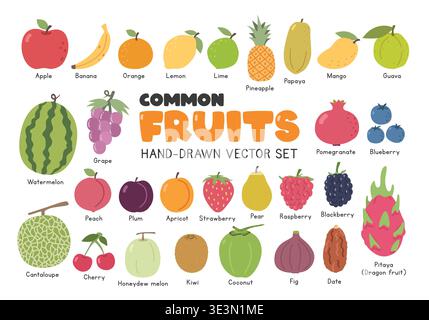 Common fruits flat vector illustration set in cartoon clipart style. Apple, banana, orange, lemon, lime, pineapple, papaya, mango, guava, watermelon Stock Vector