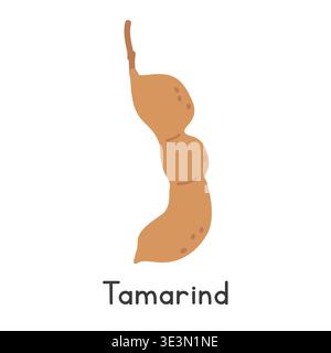 Tamarind flat vector illustration. Tamarind cartoon clipart style isolated on white background. Pods and Legume-like fruit concept Stock Vector
