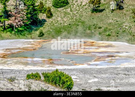 A small pond with a green bush in front of it. The pond is surrounded by a rocky area Stock Photo