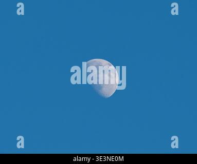 A clear half Moon floats gracefully in the brilliant blue daytime sky. Distinct craters and features are visible on its surface, contrasting against Stock Photo