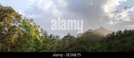 panorama of a mountain among the forest after the rain Stock Photo