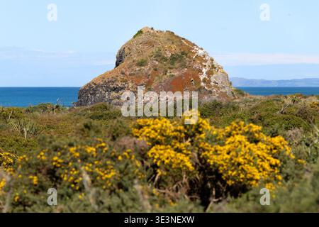 Cooks Head Rock on Chrystalls Beach, Otago, South Island, New Zealand. Stock Photo