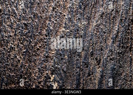 A high-resolution close-up capturing the rough texture, vertical grain, cracks, and natural decay of aged, weathered wood on a tree trunk. Stock Photo
