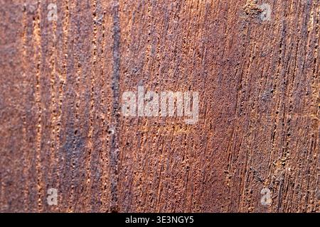 A high-resolution close-up capturing the rough texture, vertical grain, cracks, and natural decay of aged, weathered wood on a tree trunk. Stock Photo