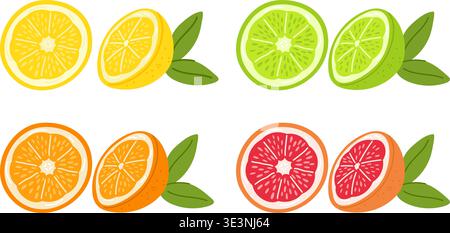 Fruit slices. Juicy citrus. Grapefruit and orange. Half of lemon. Lime with leaves. Refreshing lemonade. Food product. Sweet tangerine part. Natural Stock Vector