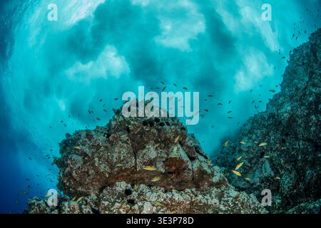 Waves break on the reef, Santa Maria Island, Azores, Portugal, Atlantic Ocean Stock Photo