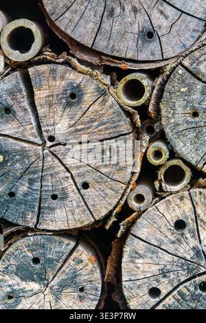 Close up of cut log ends with visible cracks, holes and organic structure between wooden pieces. Stock Photo