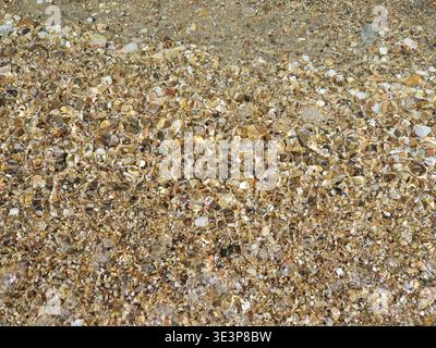 Crystal-clear shallow water gently rippling over a pebble beach, sunlit stones visible beneath the surface creating textured patterns and a calm, peac Stock Photo