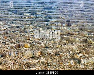 Crystal-clear shallow water gently rippling over a pebble beach, sunlit stones visible beneath the surface creating textured patterns and a calm, peac Stock Photo