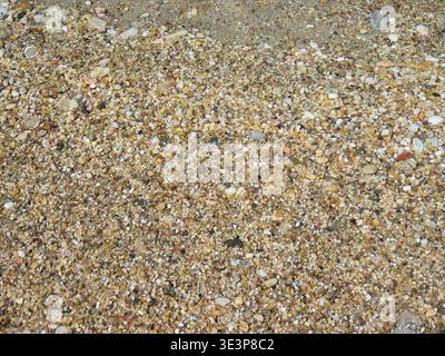 Crystal-clear shallow water gently rippling over a pebble beach, sunlit stones visible beneath the surface creating textured patterns and a calm, peac Stock Photo