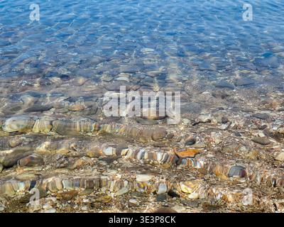 Crystal-clear shallow water gently rippling over a pebble beach, sunlit stones visible beneath the surface creating textured patterns and a calm, peac Stock Photo