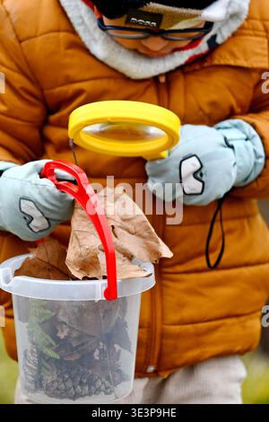 Nature discovery in primary schools - Child observing a dead leaf with a magnifying glass - France Stock Photo