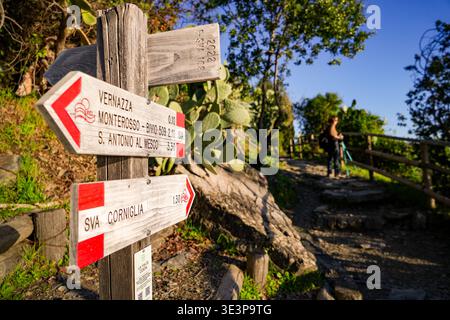 View of weathered wooden trail marker points to Vernazza and Corniglia, a rugged path winding through the vibrant greenery, Vernazza, Liguria, Italy. Stock Photo