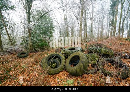 Forest pollution: litter in the underbrush, abandoned tires, tractor tires in winter in a forest, Bouxieres-aux-Dames, Lorraine, France. Stock Photo