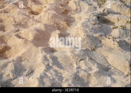 Close up of golden sand on a beach showing detailed grains and natural texture. Soft light creates shadows. Concept of maritime geological detail, min Stock Photo