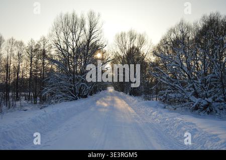 Snowy winter road through a forest with sunlight shining through trees. Peaceful landscape with strong perspective and calm atmosphere. Stock Photo