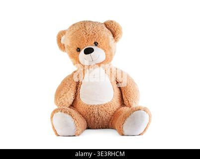 Big brown teddy bear on white background Stock Photo