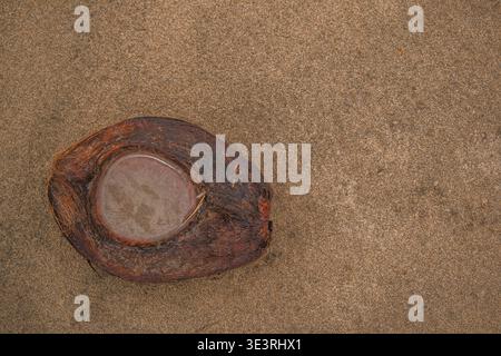 Coconut Husk Lying on Sand Stock Photo