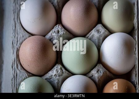 Farm-fresh eggs in soft natural light—earthy tones, delicate textures, and simple beauty straight from the carton. Stock Photo