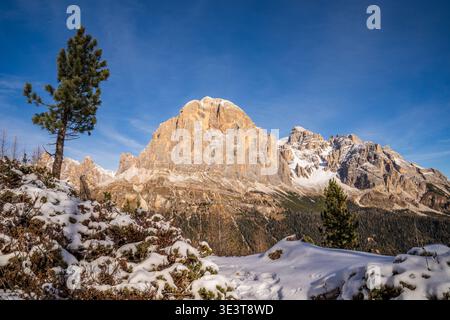 Winter landscape in the Dolomites featuring Tofana di Rozes lit by the setting sun. In the foreground, soft fresh snow and pine trees frame the toweri Stock Photo