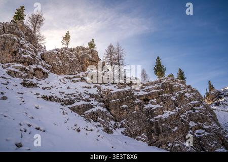 High-altitude winter landscape featuring a rocky cliff covered in fresh snow. Isolated larches and pines grow among the rocks under a bright blue sky. Stock Photo