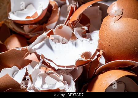 Macro shot of cracked and crushed chicken eggshells showing sharp edges, white interior, and brown exterior textures under high contrast light. Stock Photo